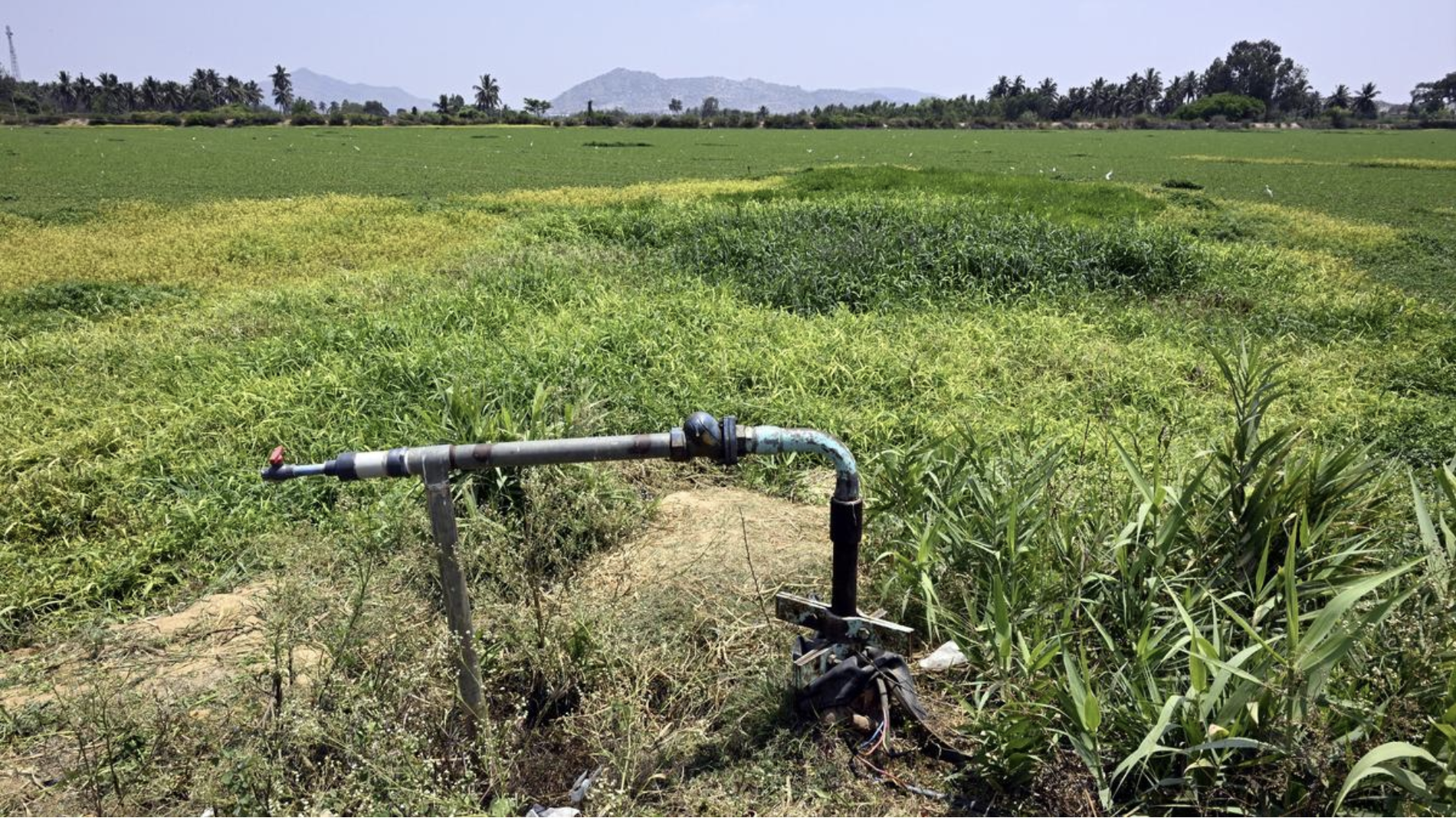 Panchayats in Kolar district get national attention for climate responsiveness