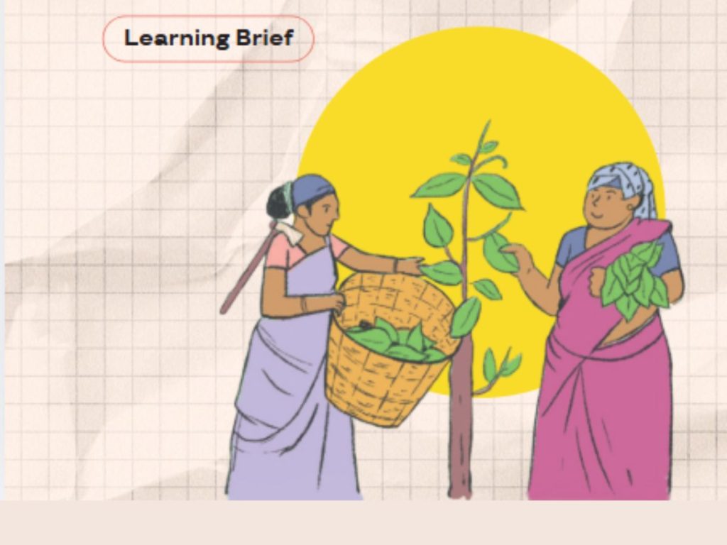 Climate-Resilient Livelihoods in Koraput, Led by Indigenous Women: Learning Brief