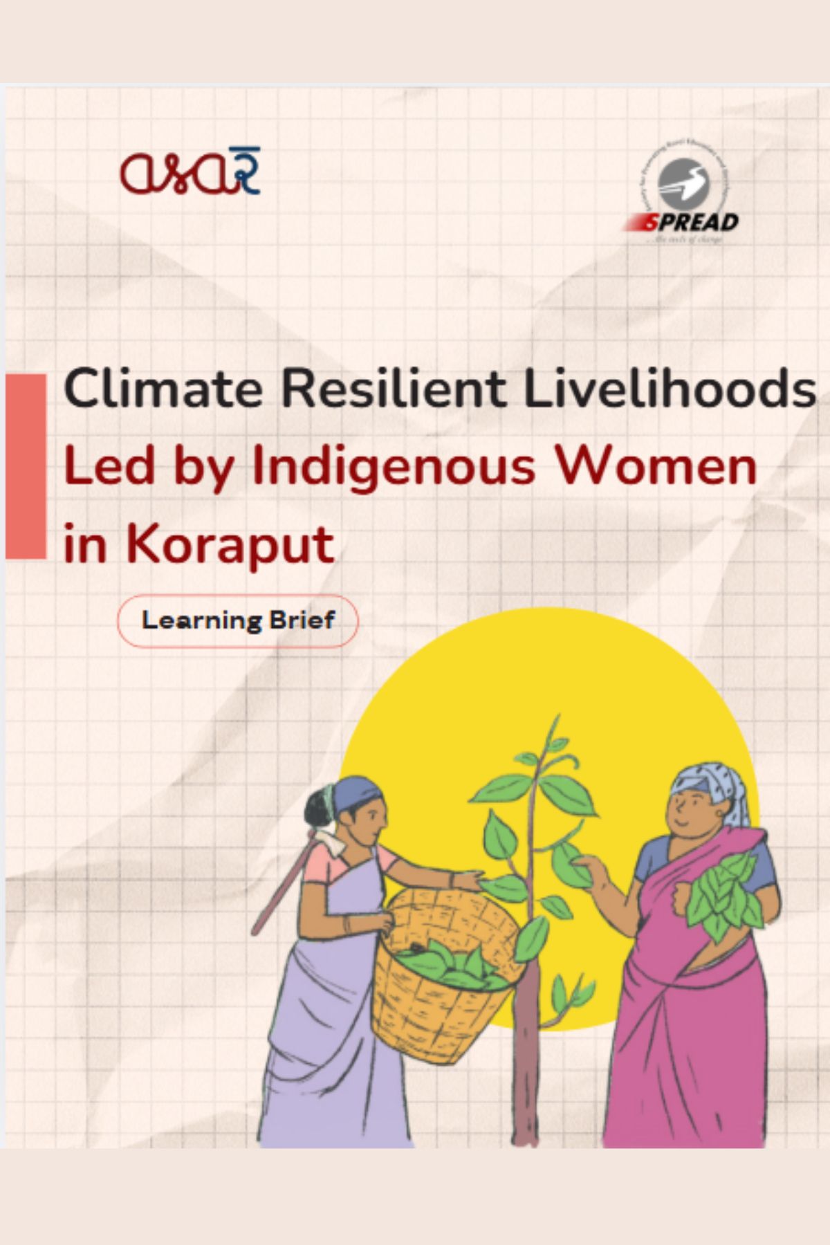 Climate-Resilient Livelihoods in Koraput, Led by Indigenous Women: Learning Brief