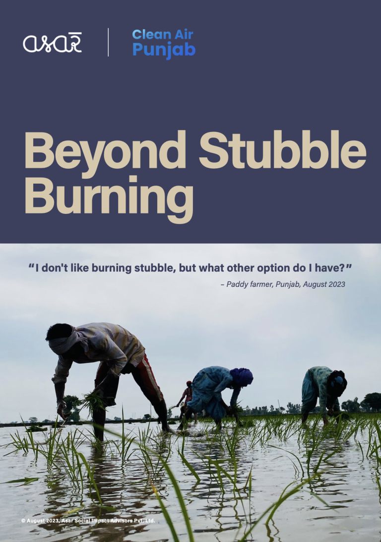Beyond Stubble Burning